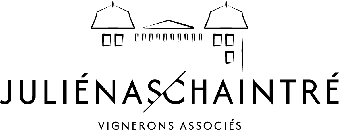 Juliénas Chaintré vignerons associés